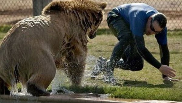 صيدا اون لاين