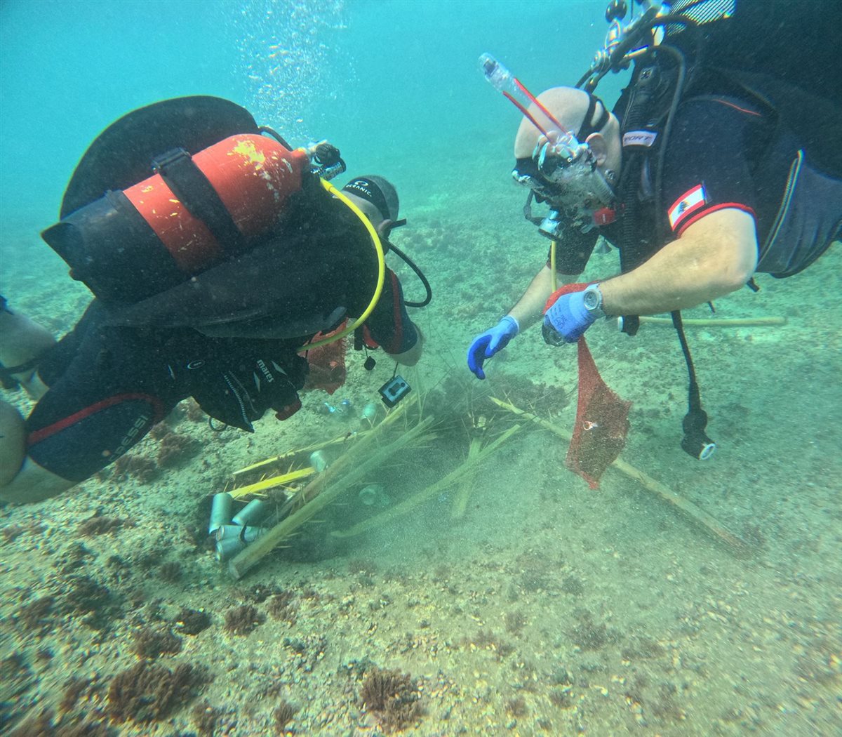 IMG-20250809-WA0284