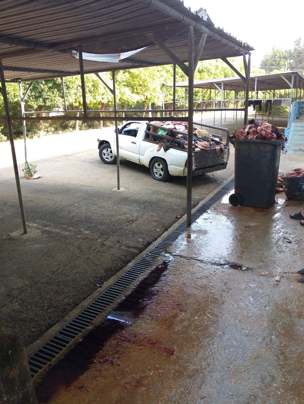 IMG-20250813-WA0188