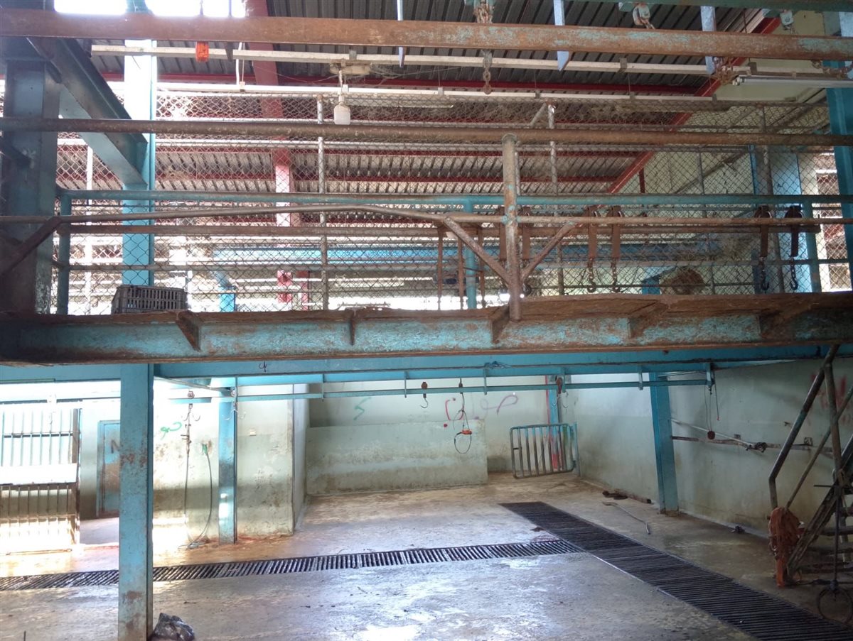 IMG-20250813-WA0187