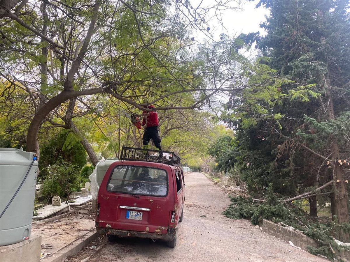 FB_IMG_1771016663809