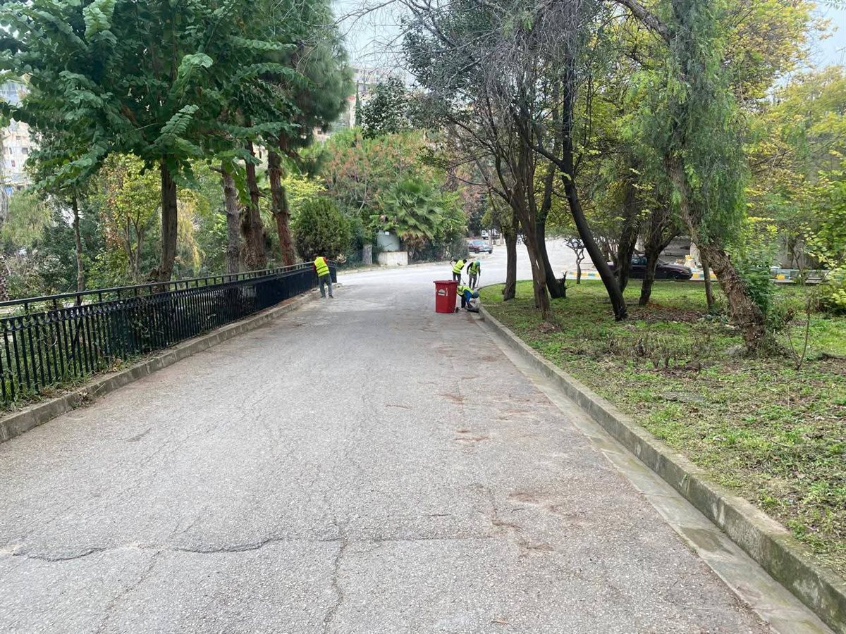 FB_IMG_1771016679910