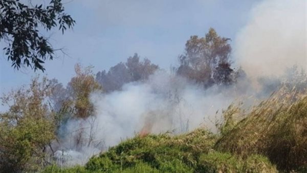 صيدا اون لاين