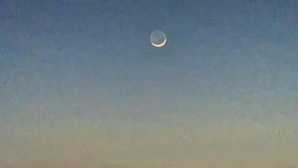 صيدا اون لاين