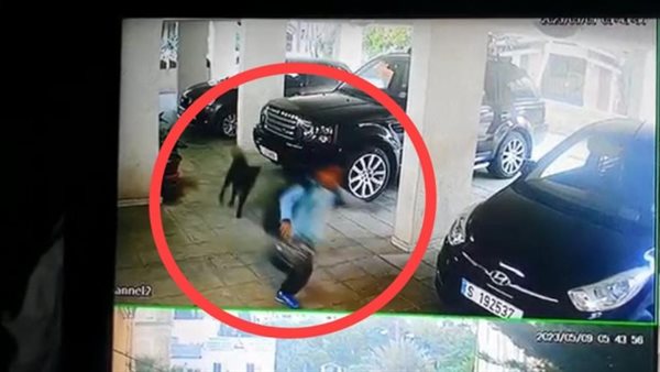 صيدا اون لاين