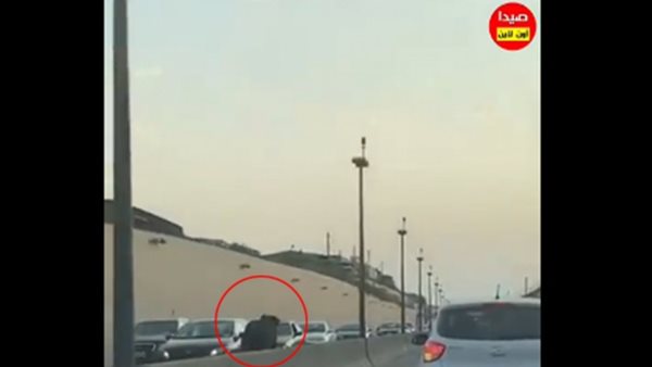 صيدا اون لاين