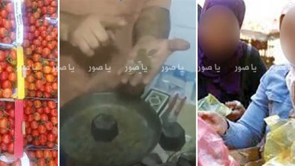 صيدا اون لاين