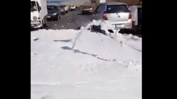 صيدا اون لاين