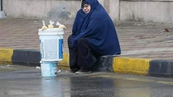 صيدا اون لاين