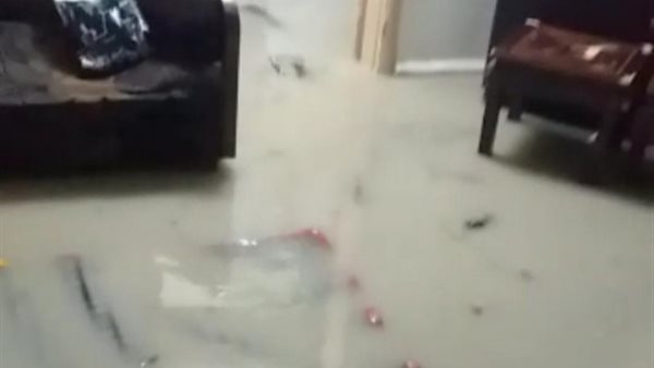 صيدا اون لاين