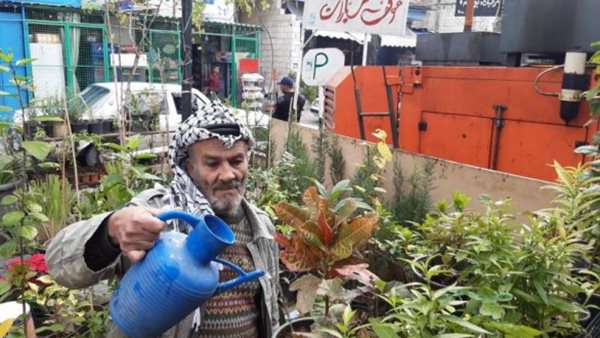 صيدا اون لاين