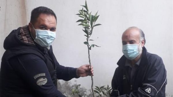 صيدا اون لاين