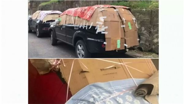 صيدا اون لاين