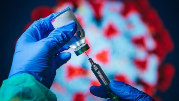 صيدا اون لاين