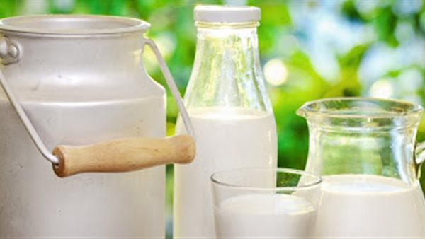 صيدا اون لاين