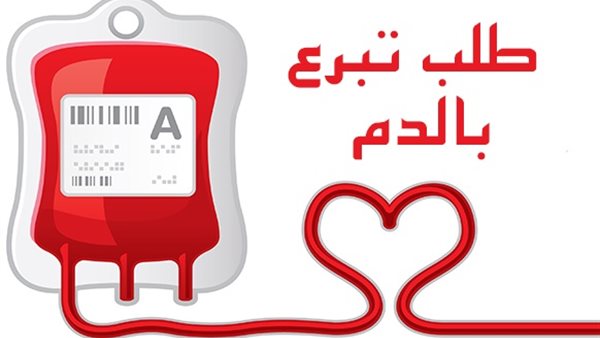 صيدا اون لاين
