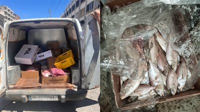 جنوباً: تسطيرمحضر ضبط بحق براد للحوم المبردة لعدم التزامه الشروط الصحية