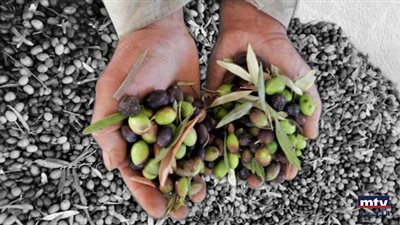 بسبب التغيّر المناخي... صار 