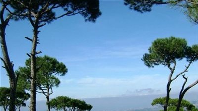 طقس مستقر معتدل درجات الحرارة يسيطر على لبنان