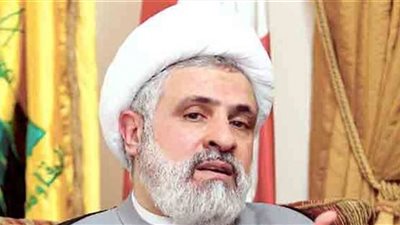 قاسم حول الاستحقاق الرئاسي: اذا تمّ الحوار نحن جاهزون