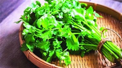 هل مشروب الكزبرة يساعد على التخسيس؟