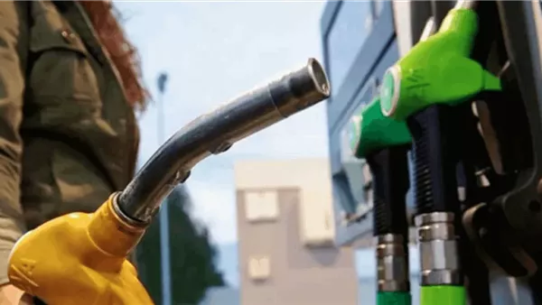 صيدا اون لاين