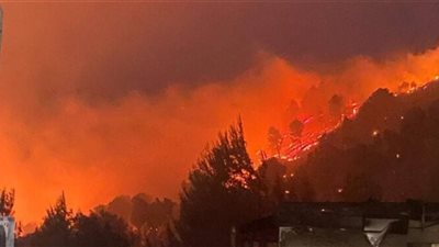 بعد إحراق المستوطنات... موقع يسأل: هل تخشى ‏إسرائيل الإطاحة بـ