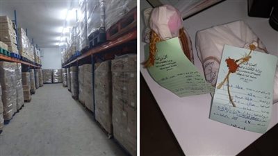 محضرا ضبط جنوباً بحق صاحبي مولدات خالفا التسعيرة الرسمية.. وجولة للاقتصاد على المحلات قبيل عيد الأضحى