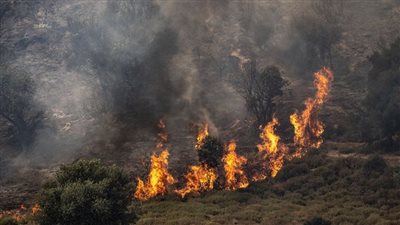 قمة فرنسية-أميركية-إسرائيلية لتقرير مصير الجنوب.. وتوصية عسكرية بالحرب