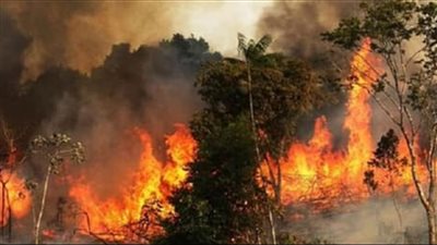 في تنورين.. حريقٌ كبيرٌ يحاصر المنازل