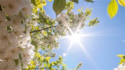 طقس صيفي رطب يرافقنا... اليكم تفاصيل الطقس