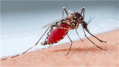 ما حقيقة انتشار 