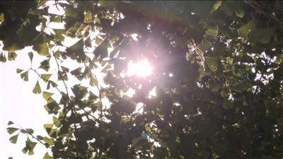 الحرارة تبلغ ذروتها الخميس والجمعة... اليكم التفاصيل 