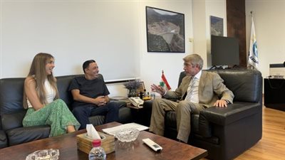 بعد قرار ميقاتي التحقيق في ملفّ الكهرباء.. فيّاض: 