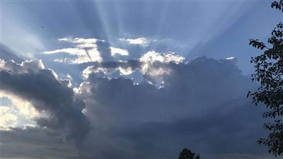 استقرار بدرجات الحرارة وضباب خفيف... اليكم التفاصيل 