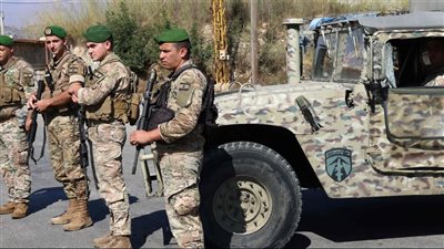 ماذا فعل الجيش في محلة الحوش عند أطراف صور؟