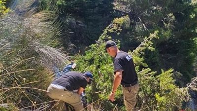 وفاة عائلة بأكملها من 5 أفراد إثر تدهور سيارتهم على طريق الأرز- بشري القديمة