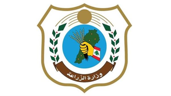 صيدا اون لاين
