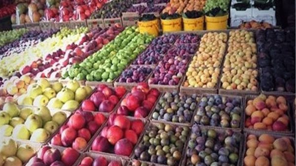 صيدا اون لاين