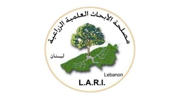 صيدا اون لاين