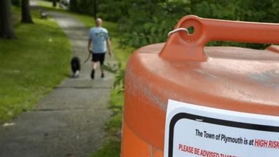 البعوض القاتل 