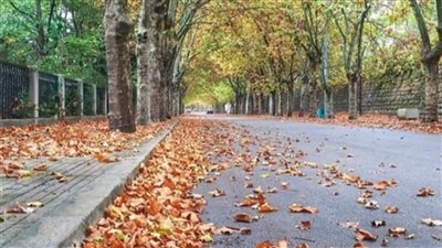  طقس خريفيّ يؤثّر على لبنان ويستمر في الايام المقبلة... اليكم التفاصيل 