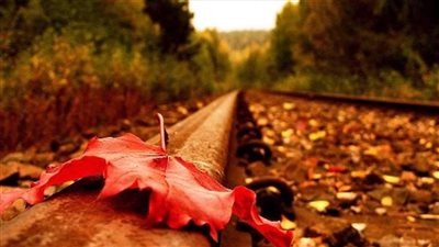  احتمال تساقط الامطار مستمر... وهذا موعد عودة الاستقرار