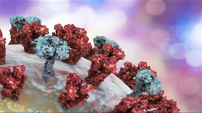 مع اقتراب فصل الشتاء.. أطباء يحذرون من 