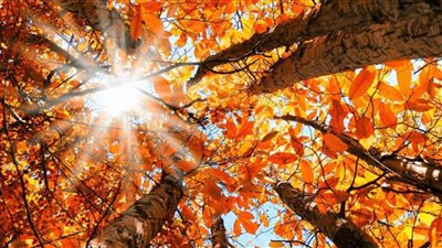  طقس خريفيّ متقلب يسيطر على لبنان... اليكم التفاصيل 