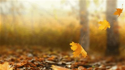  طقس لبنان خريفيّ مستقر لأيّام عديدة... اليكم التفاصيل 