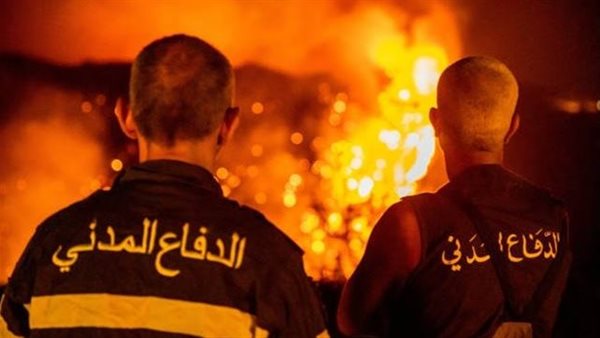 صيدا اون لاين