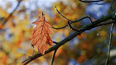 الطقس يتقلّب قليلاً الأربعاء... إليكم التفاصيل