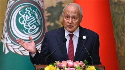 أبو الغيط مساندًا ميقاتي: حكومة لبنان هي المخولة بالتفاوض!