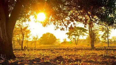 طقس خريفي مستقر.. وخطر انتشار الحرائق مستمر